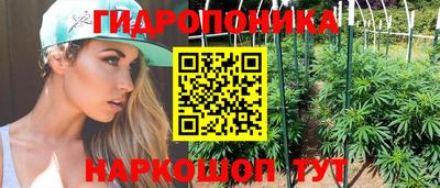 СК Новозыбков