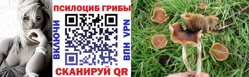 Псилоцибиновые грибы MAGIC MUSHROOMS  Знаменск 