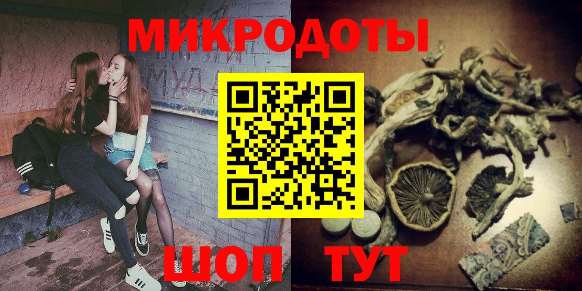 Галлюциногенные грибы Psilocybine cubensis Знаменск