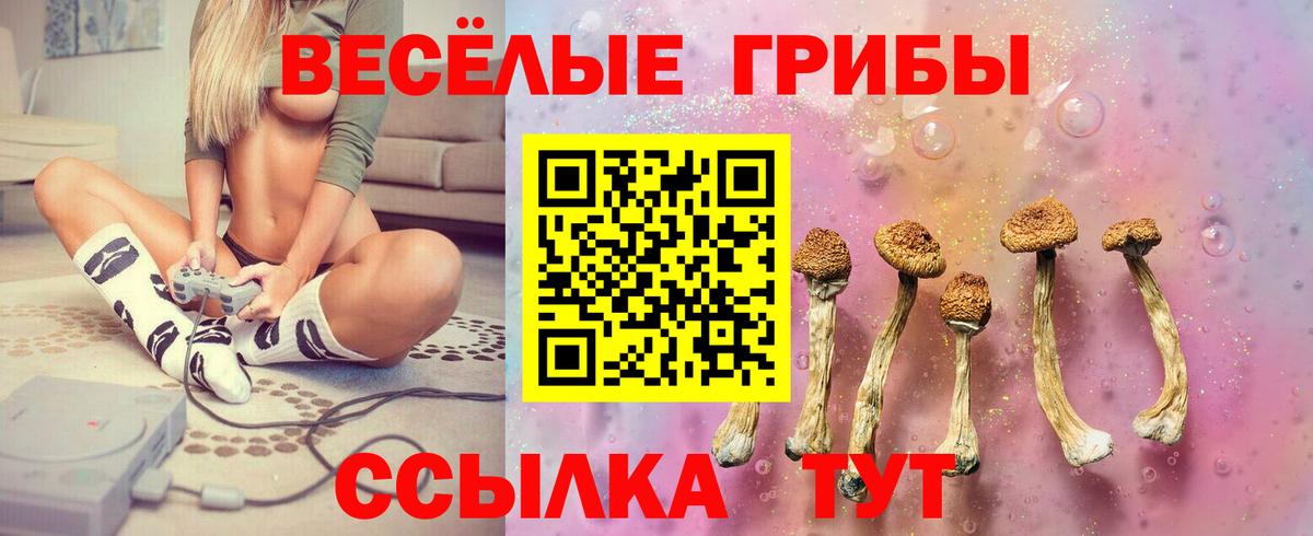 Знаменск  Псилоцибиновые грибы MAGIC MUSHROOMS  Вход с VPN 